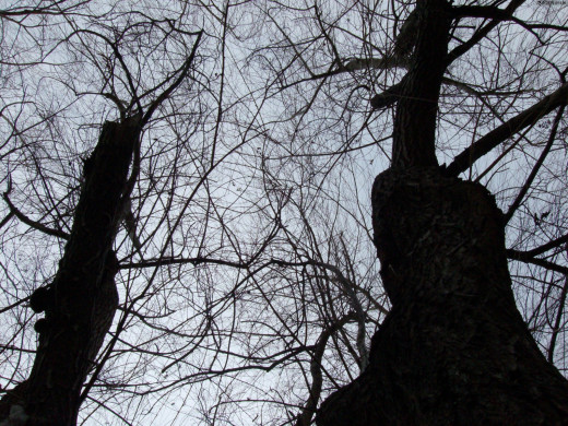 40874 (a): :1600x1200